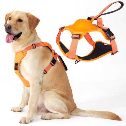 Integrated Leash Dog Harness