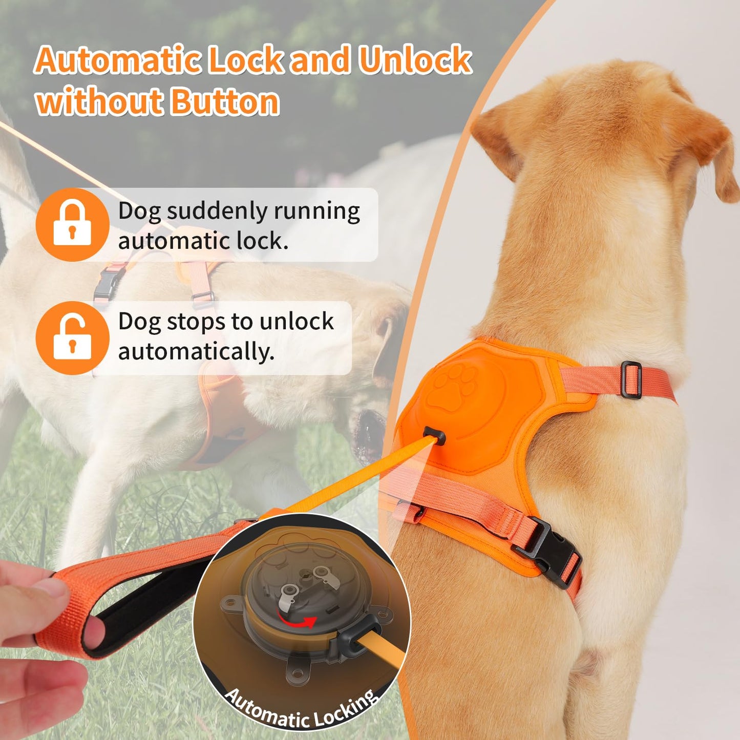 Integrated Leash Dog Harness