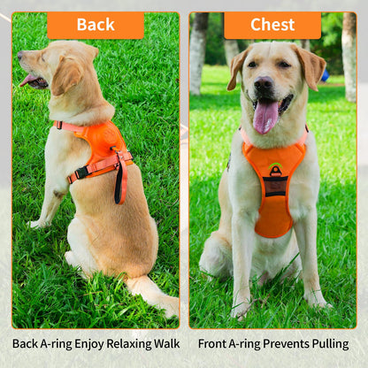 Integrated Leash Dog Harness