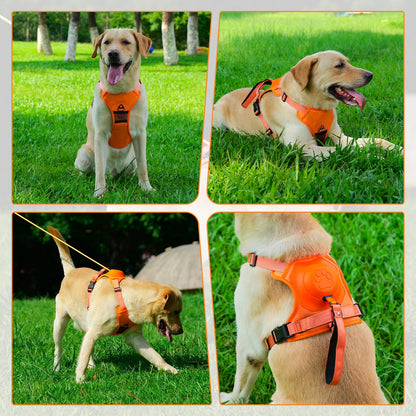 Integrated Leash Dog Harness