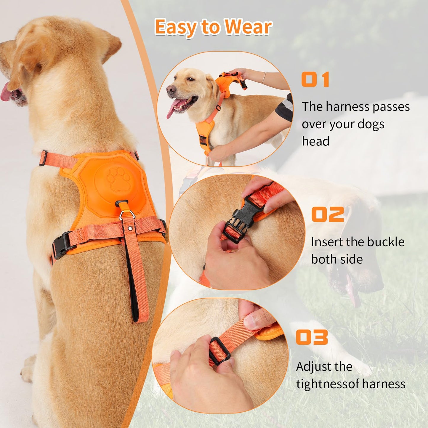 Integrated Leash Dog Harness