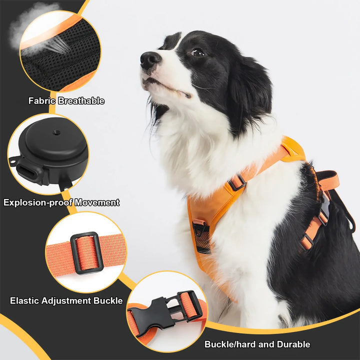 Integrated Leash Dog Harness