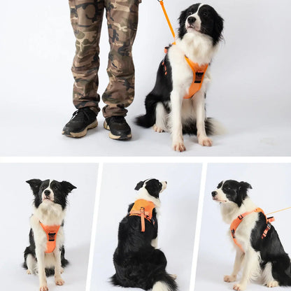 Integrated Leash Dog Harness